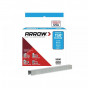 Arrow A504IP T50 Staples 6Mm (1/4In) (Bulk Pack 5000)
