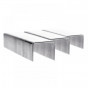 Rapid 40303092 140/14 14Mm Galvanised Staples (Poly Pack 5000)