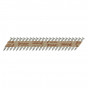 Paslode PAS141185 Ppn35Ci Nails & Fuel Cells Trade Pack - Twist Shank - Electro Galvanised - 141185 3.4 X 35/2Cfc