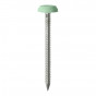Timco PN50CG Polymer Headed Nails - A4 Stainless Steel - Chartwell Green 50Mm Box 100