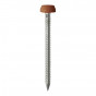 Timco PP30CB Polymer Headed Pins - A4 Stainless Steel - Clay Brown 30Mm Box 250