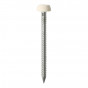 Timco PP30CC Polymer Headed Pins - A4 Stainless Steel - Cream 30Mm Box 250