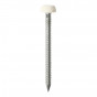 Timco PP25W Polymer Headed Pins - A4 Stainless Steel - White 25Mm Box 250